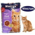 پوچ گربه وینستون طعم گوشت گاو (Winston Cat Pouch)